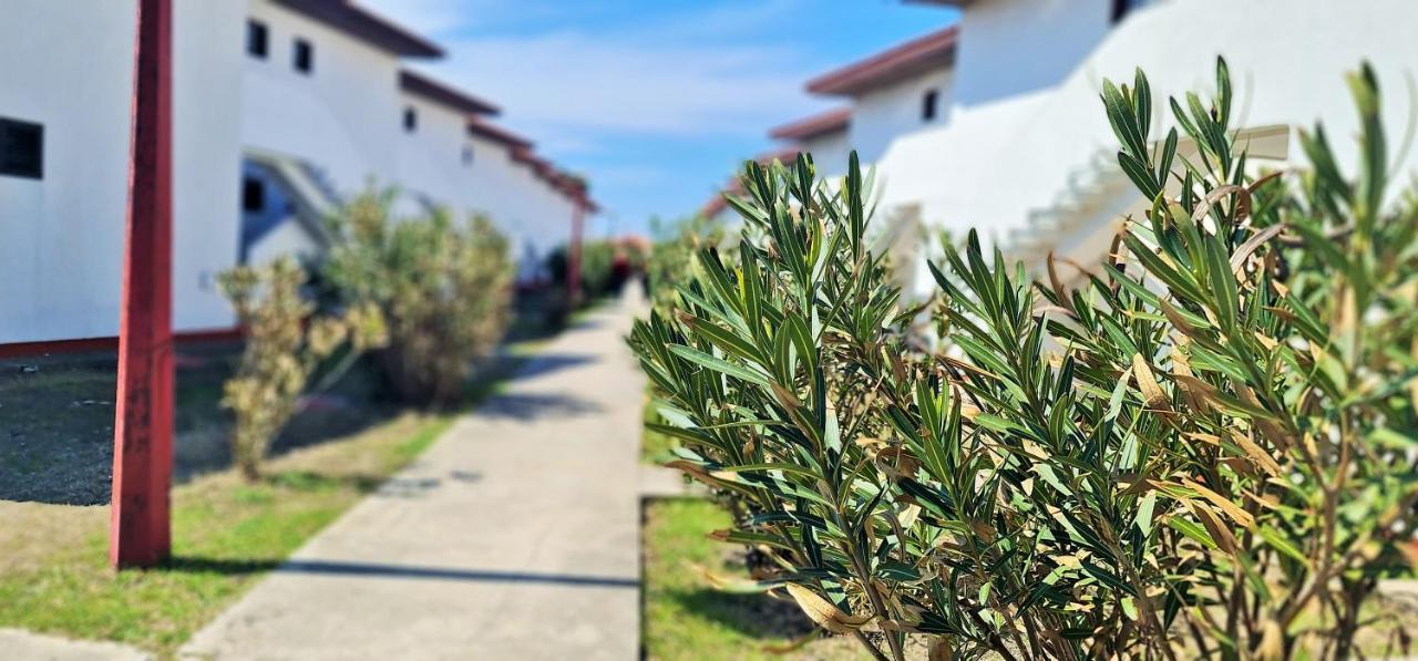 Hotel Fkk Ada Bojana Ulcinj Esterno foto