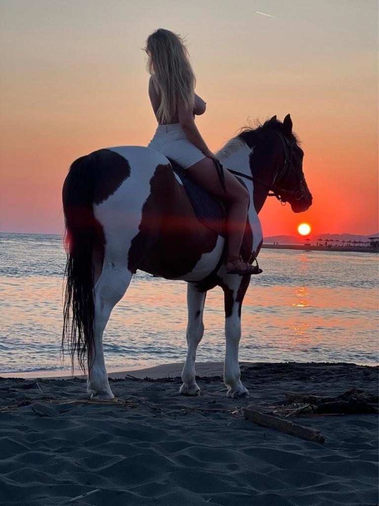 Hotel Fkk Ada Bojana Ulcinj Esterno foto